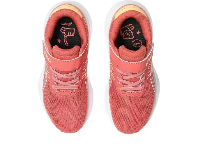 PRE-EXCITE 11 PRZEDSZKOLE PRE-EXCITE 11 PRZEDSZKOLE