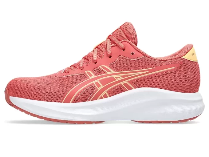 Szkoła podstawowa GEL-EXCITE dla klas 11